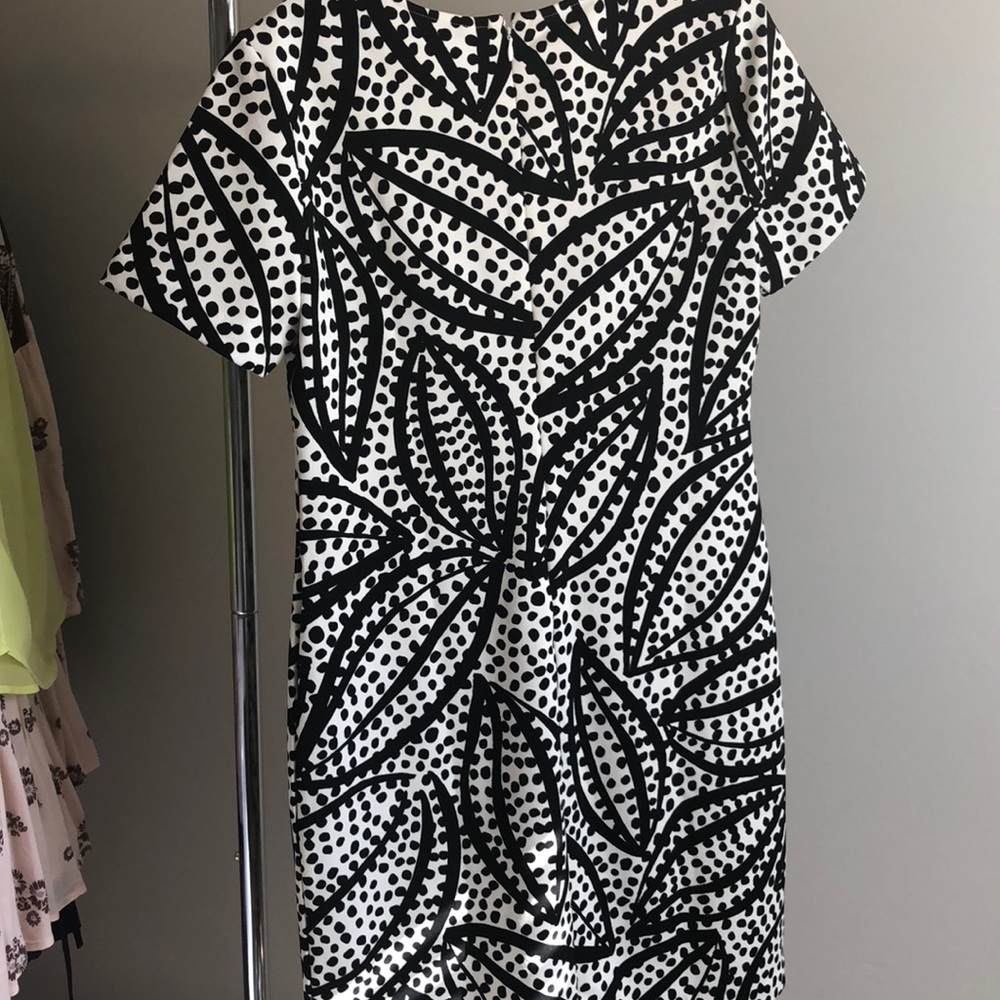 Ann Taylor Size 6 black and white dress